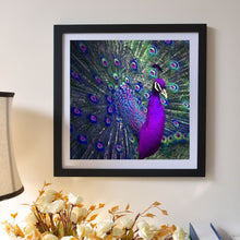 Load image into Gallery viewer, Peacock 5D Full Diamond Painting Embroidery Handmade Cross Stitch DIY Tool Kit
