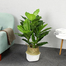 Учитај слику у прегледач галерије, Тропско велико вештачко дрво