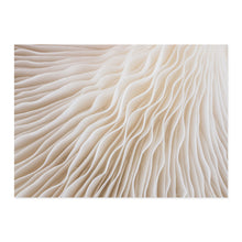 Load image into Gallery viewer, Modern Abstract Boho Beige White Line Wall Art Minimalist Canvas Paintings Posters Print Picture Living Room Home Interior Decor