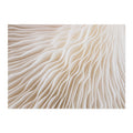 Modern Abstract Boho Beige White Line Wall Art Minimalist Canvas Paintings Posters Print Picture Living Room Home Interior Decor