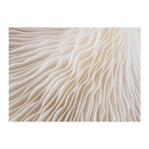 Modern Abstract Boho Beige White Line Wall Art Minimalist Canvas Paintings Posters Print Picture Living Room Home Interior Decor